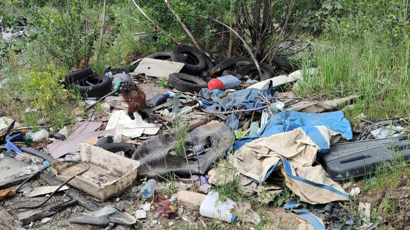 После жалоб в соцсетях прокуратура и чиновники пообещали ликвидировать огромную свалку мусора в Балакове