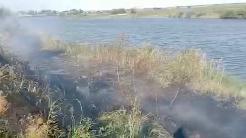 Глава района: Из-за баловства детей рядом с набережной в Питерке начался пожар