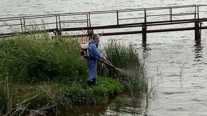 В Саратове обработали от комаров 16 прудов