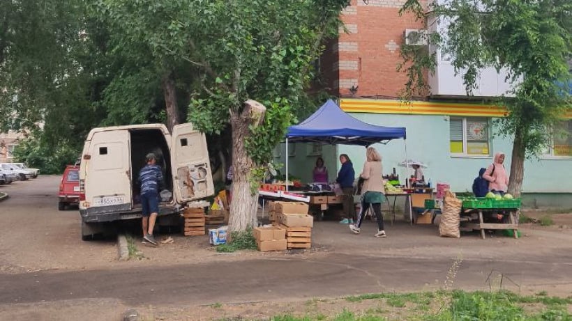 Глава Энгельсского района Плеханов возмутился продажей овощей на уличных точках в обход налогов