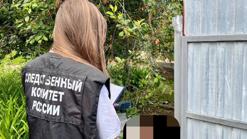 В Саратове пенсионера убило током на дачном участке у соседа