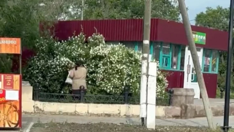 Аткарчанка нарвала большой букет цветов в городском парке и попала на видео