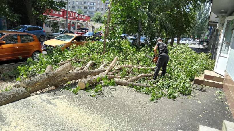 В Саратове во время ливня с градом упали 32 дерева 