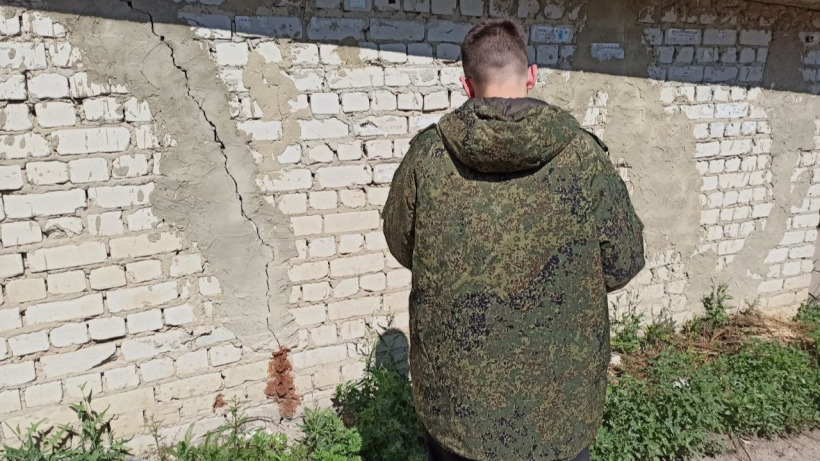 В СК привели подробности нападения собаки на 9-летнего мальчика в Саратове
