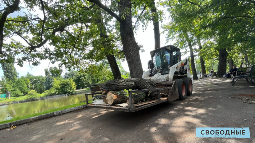 В Саратове открыли городской парк спустя два месяца после гибели женщины и ребенка