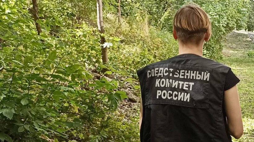 В Ленинском районе Саратова бездомная собака покусала подростка