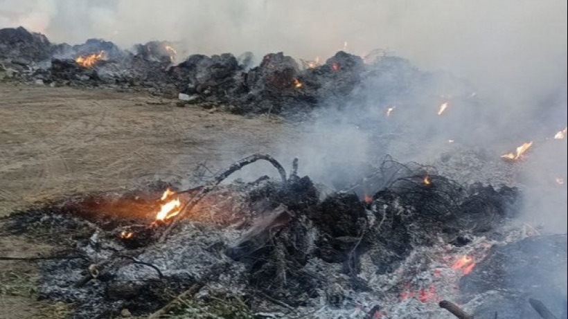 Под Балаковом произошел крупный пожар у кладбища