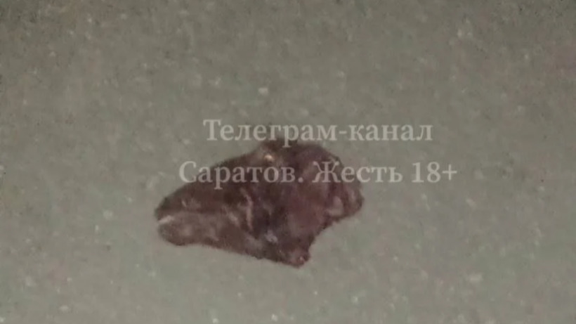 На тротуаре у саратовской школы Аврора бросили отрубленную козлиную голову