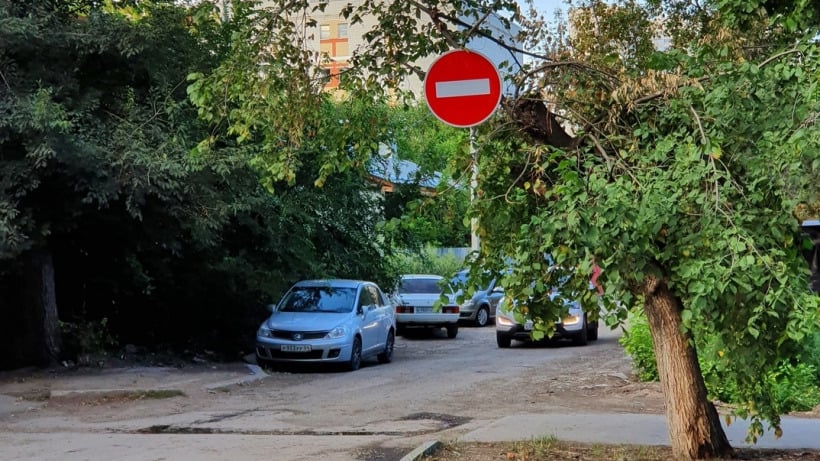 В Саратове дорожный знак «кирпич» закрепили на ветке дерева