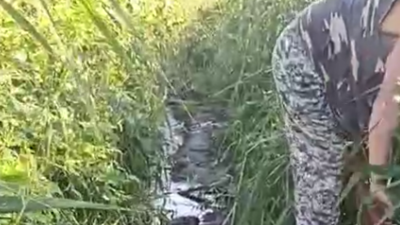 В Саратове затопило мост, по которому дети ходят в поселковую школу