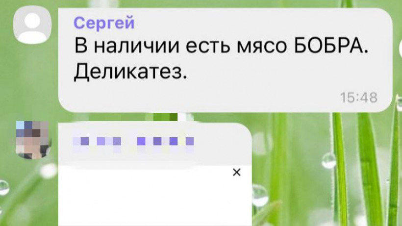В Саратовской области мужчину задержали за продажу мяса бобра. Он назвал товар деликатезом