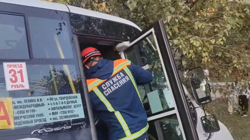 В Саратове маршрутка протаранила дерево. Пострадали восемь человек