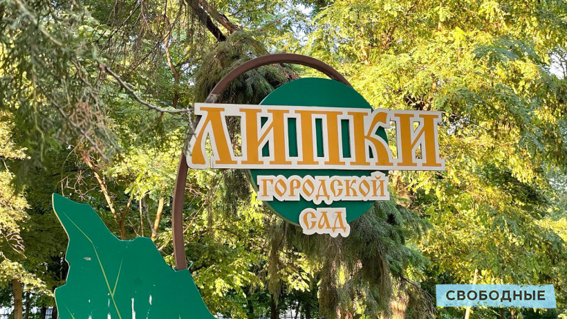 Завтра в Саратове сад «Липки» закроют из-за ремонта детской площадки