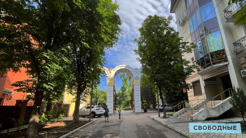 В саратовском горпарке вырубят еще 23 дерева