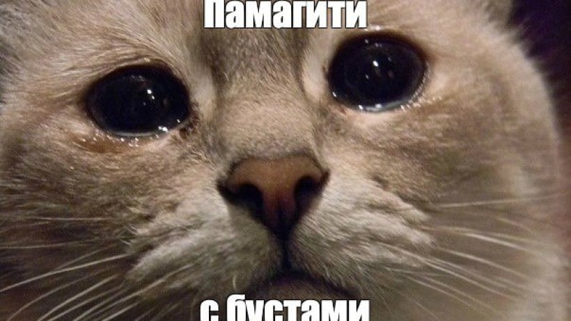 Евро по 30, увольнение Набиуллиной и сториз от Силуанова. Пользователи Telegram устроили протест из-за просьбы минфина помочь с бустами