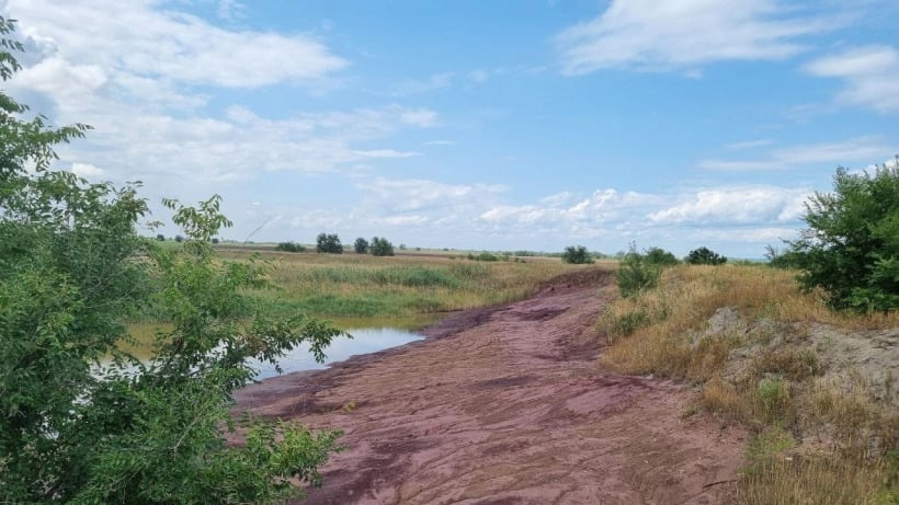 В Балаковском районе обнаружили масштабное загрязнение земель бывшего колхоза. Ущерб превысил 772 миллиона рублей