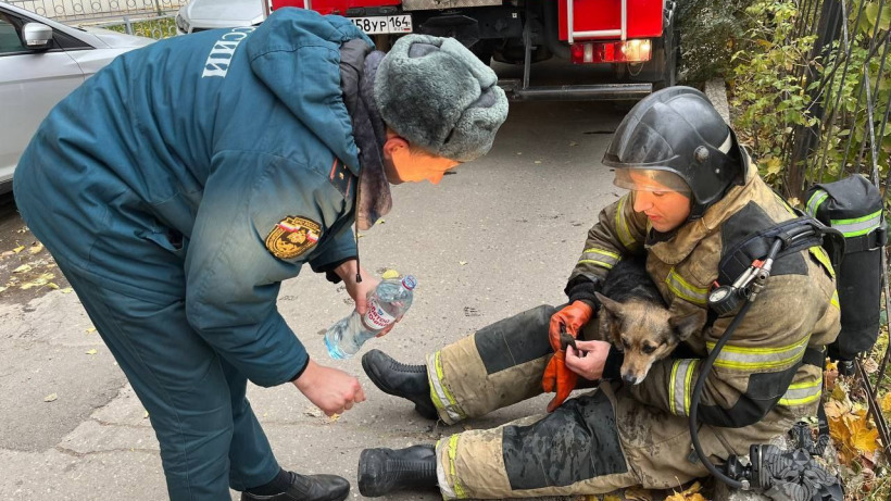 Пожар в саратовской многоэтажке. Из задымленной квартиры спасли собаку