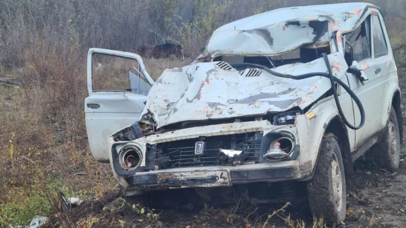 Под Энгельсом «Нива» врезалась в лошадь. Погиб человек