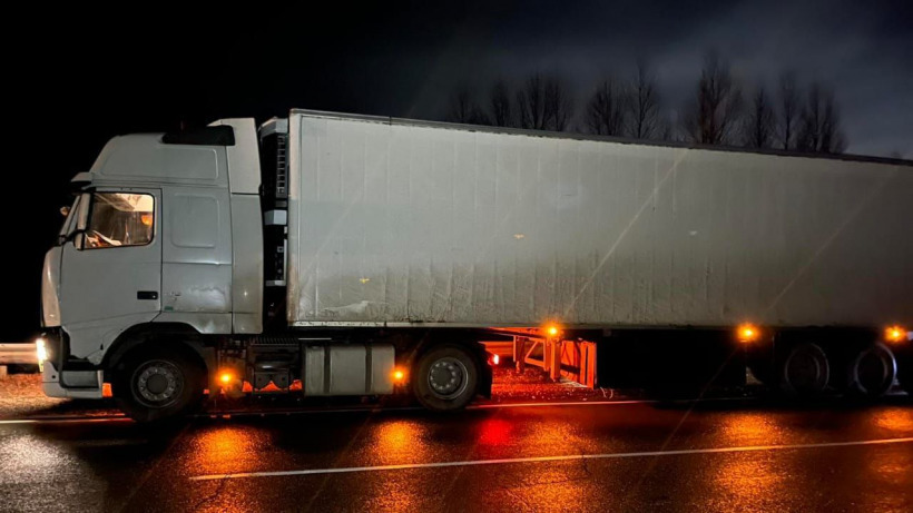 Грузовик Volvo сбил мужчину на трассе Нижний Новгород - Саратов