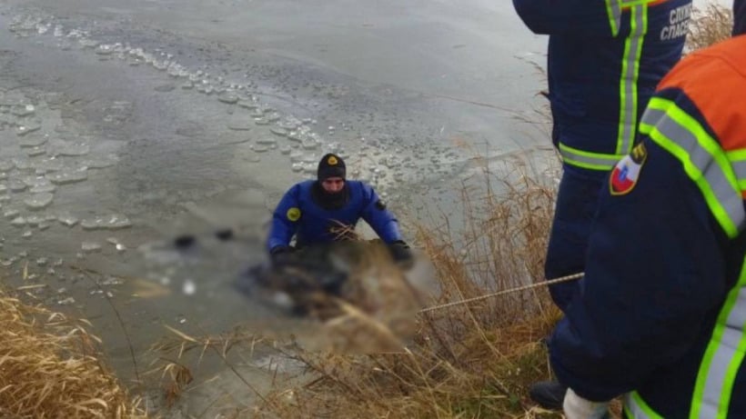 Спасатели достали из пруда под Балашовом тело утонувшего мужчины