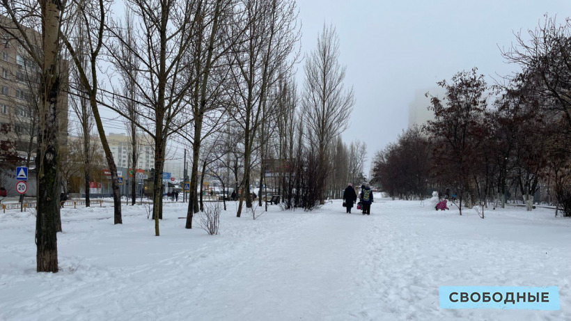В первый день зимы синоптики обещают саратовцам снег, дождь и мороз