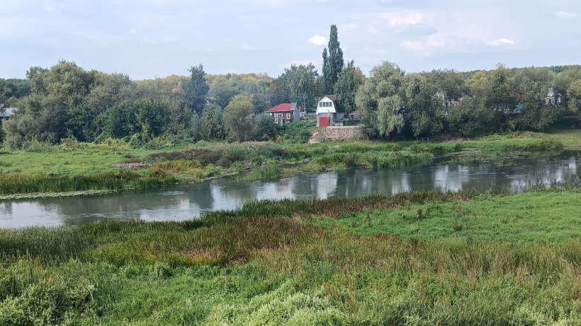 В этом году в Балашовском районе должны расчистить пять километров русла Хопра