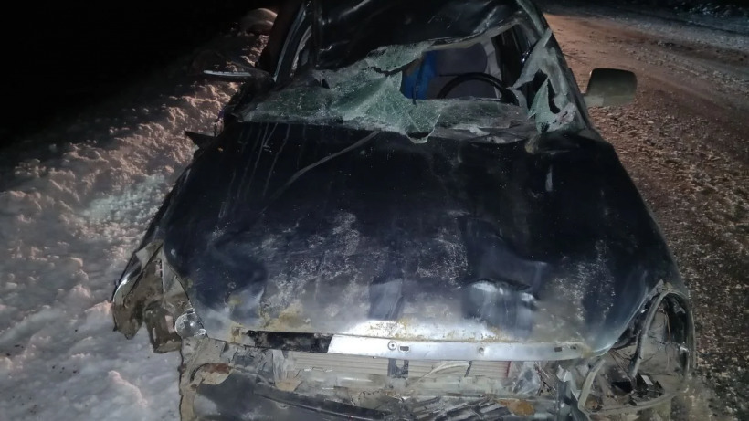 Водитель «Приоры» сбил лошадей на трассе под Алгаем. Его пассажир попал в больницу