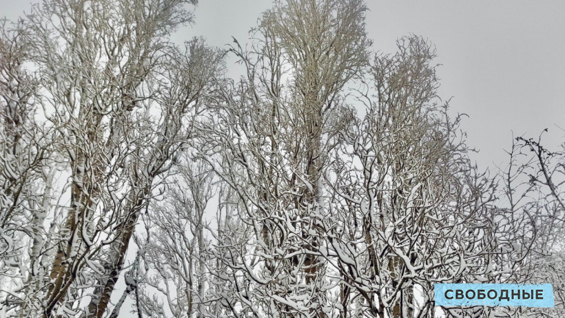 Метель, туман и близкая к нулю температура ожидаются по области, в Саратове - снег с дождем