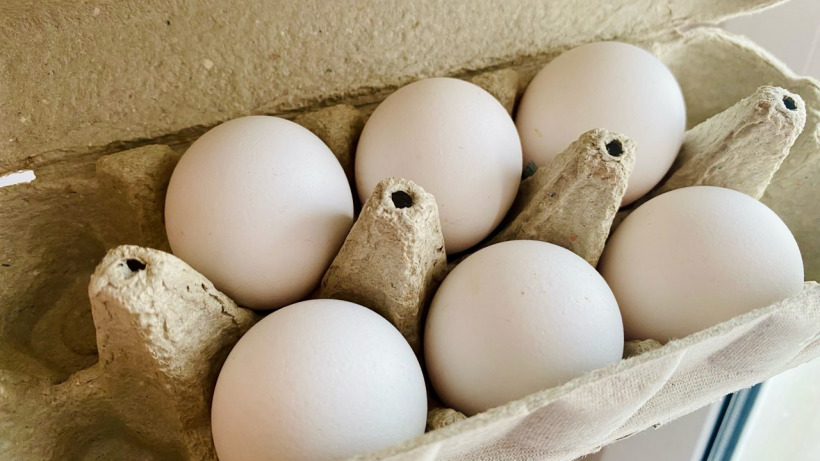 В Саратовской области фабрики поставили почти миллиард яиц, но резко снизили производство мяса птицы