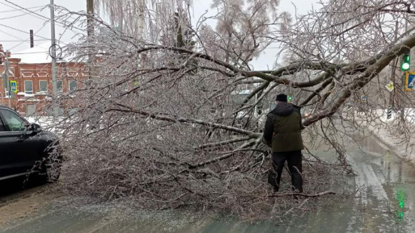 Жители Саратовской области жалуются на «каток» на улицах, обрыв электрических проводов и падение деревьев из-за непогоды 