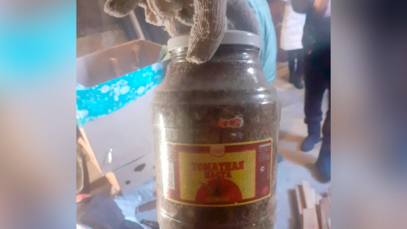 Саратовца задержали за хранение выращенных дома конопли и марихуаны