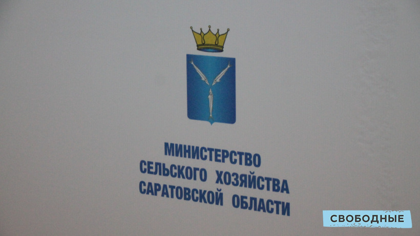 Саратовские аграрии могут получить господдержки на 3,7 миллиарда рублей