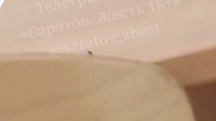Ученики еще одной саратовской школы пожаловались на тараканов в классах