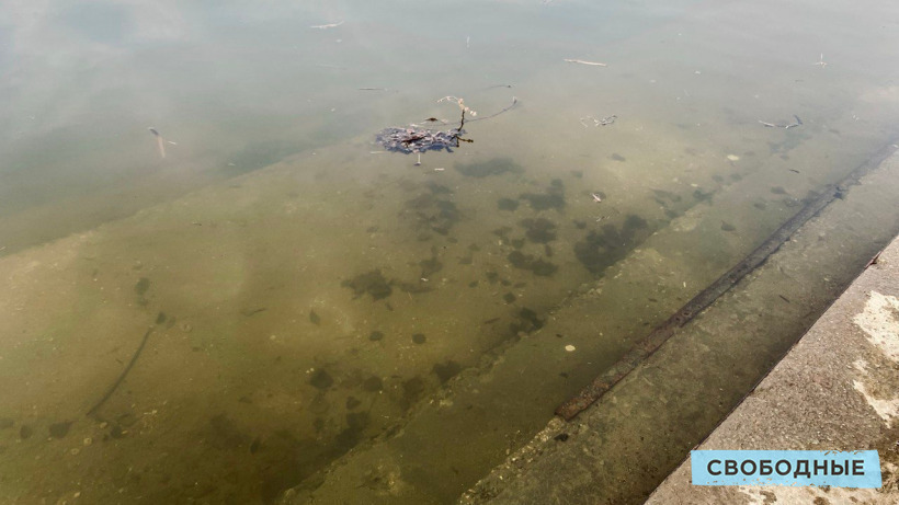 В Саратовской области остаются затопленными более 30 дворов, организованы три лодочные переправы