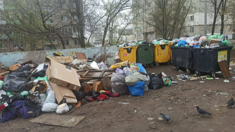 После массовых жалоб на Ситиматик в Саратове о свалках мусора сообщили и жители Энгельса