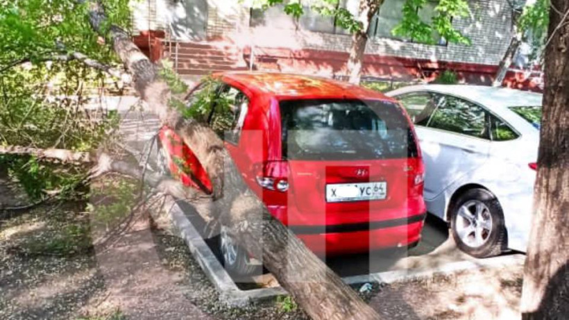 В саратовском дворе крупное дерево упало в сантиметрах от припаркованной машины