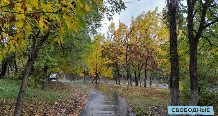 Рабочая неделя в Саратовской области начнется с дождей и закончится похолоданием