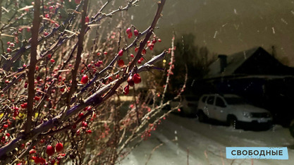 Ночью в Саратовской области похолодает до аномальных -26 градусов