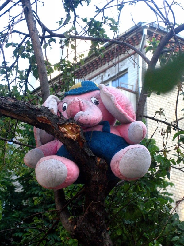 Особенно привлекает внимание видный издалека розовый слон, обосновавшийся на самом высоком дереве