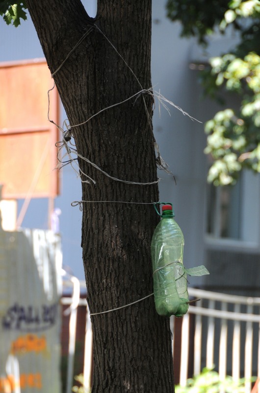 Дорожный знак, кормушка для птиц из пластиковой бутылки, в которую уже давно никто не насыпает корм