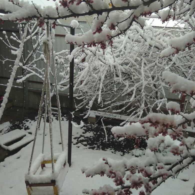 Снегопад 12 апреля 2012 года