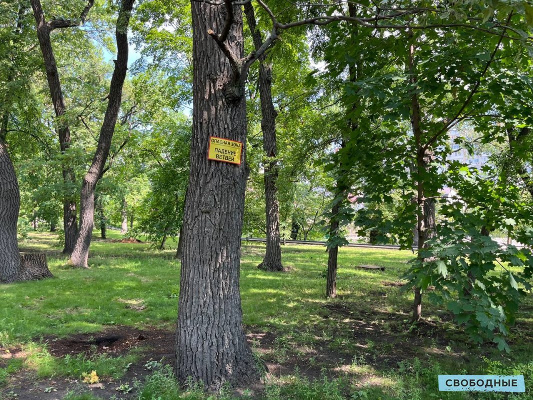 В Саратове открыли городской парк спустя два месяца после гибели женщины и  ребенка